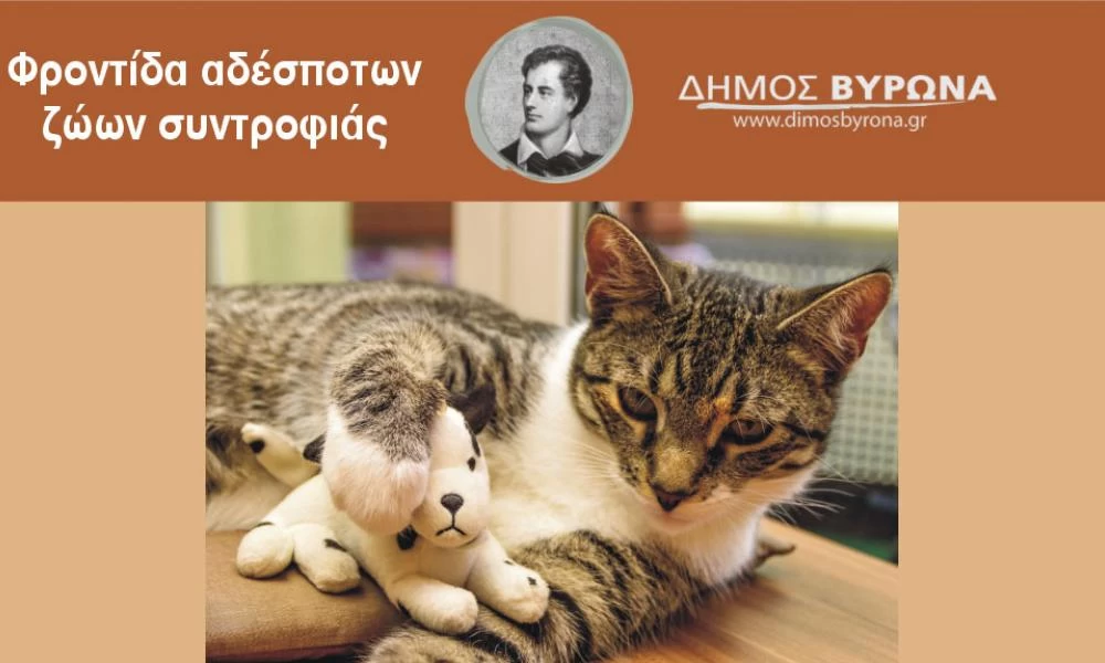 Βύρωνας: Αφαιρέθηκαν 19 γάτες από σπίτι